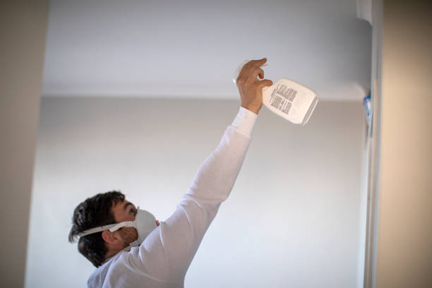Best Residential Mold Removal  in Jennings, LA