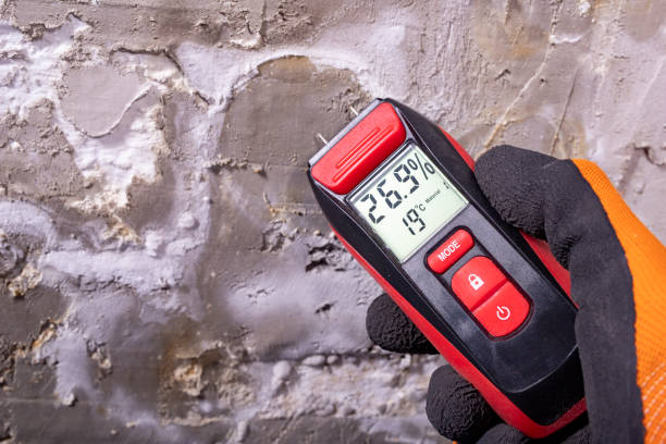 Best Mold Removal Specialists  in Jennings, LA