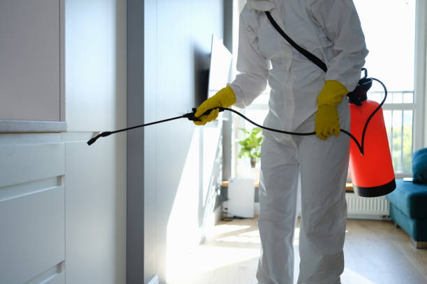 Best Toxic Mold Removal  in Jennings, LA