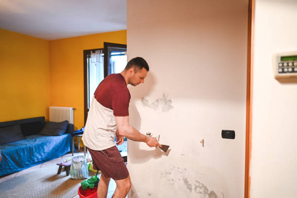 Best Mold Removal and Inspection  in Jennings, LA